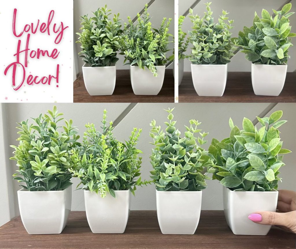 Der Rose faux succulents
