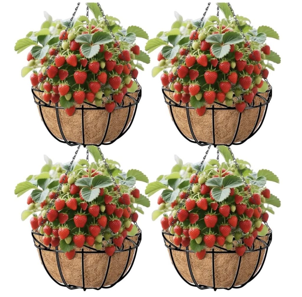 AMAGABELI GARDEN & HOME hanging planters