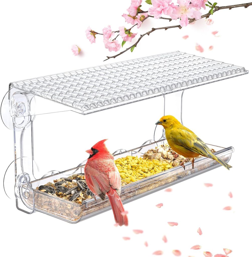 Window Bird Feeder