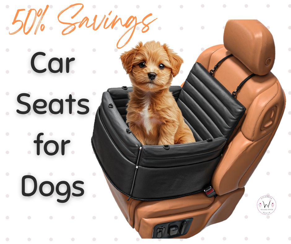 3-in-1 dog car seat