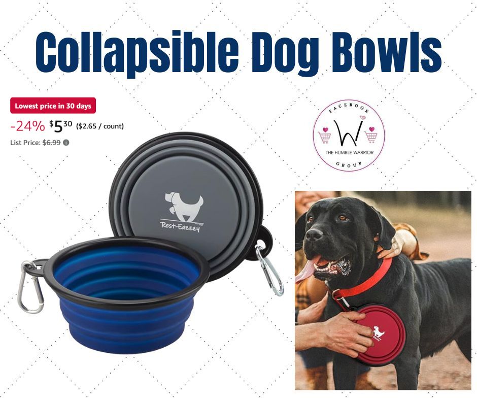 collapsible dog bowl