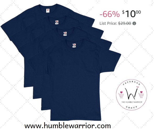 Hanes Men’s Navy T-shirts
