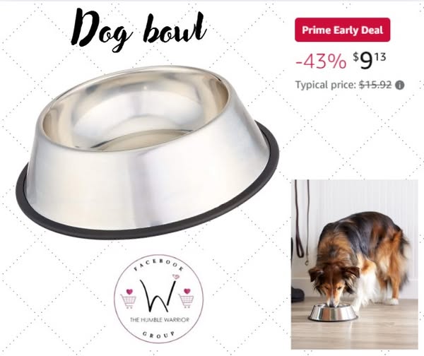 Steel Dog Bowl