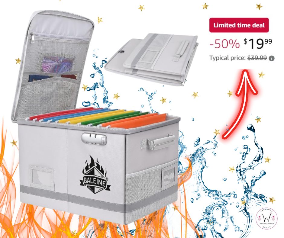 BALEINE Fireproof Box File Storage Organizer with Lock!