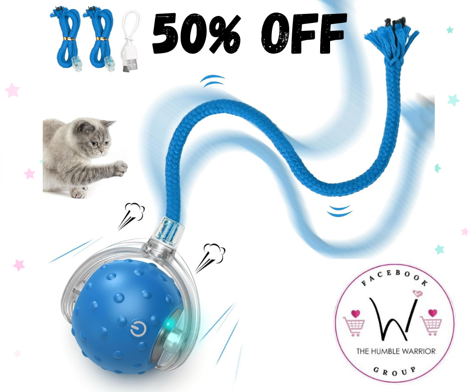 Cat Toy