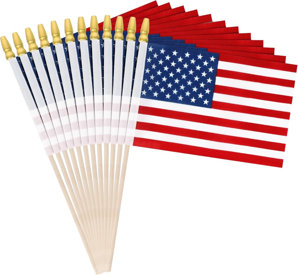 for 12 Mini American Flags