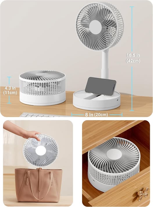 Portable Fan