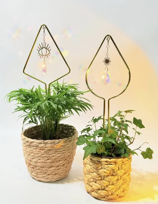 2-pack indoor plant trellis