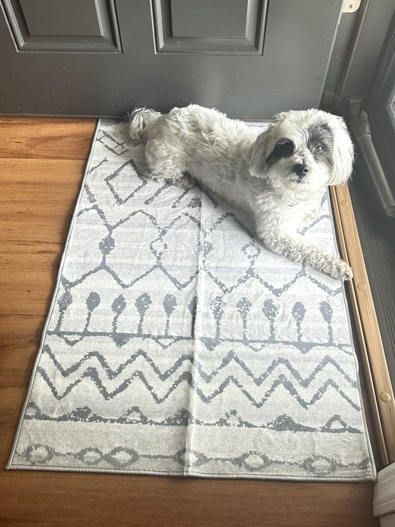 Washable area rugs!