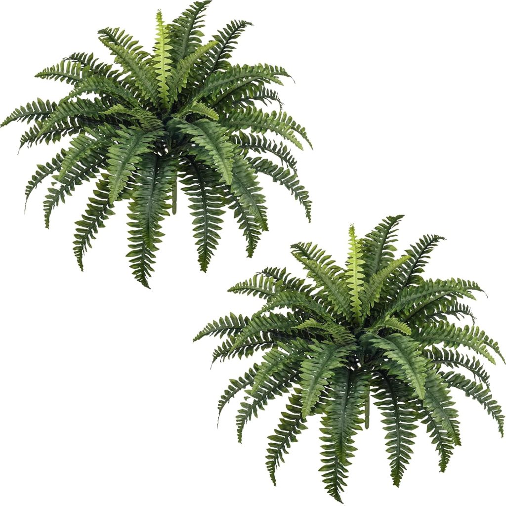 2 Pack of Artificial Boston Ferns!