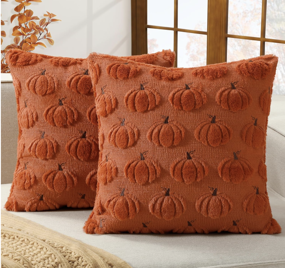 2-pack of pillow covers