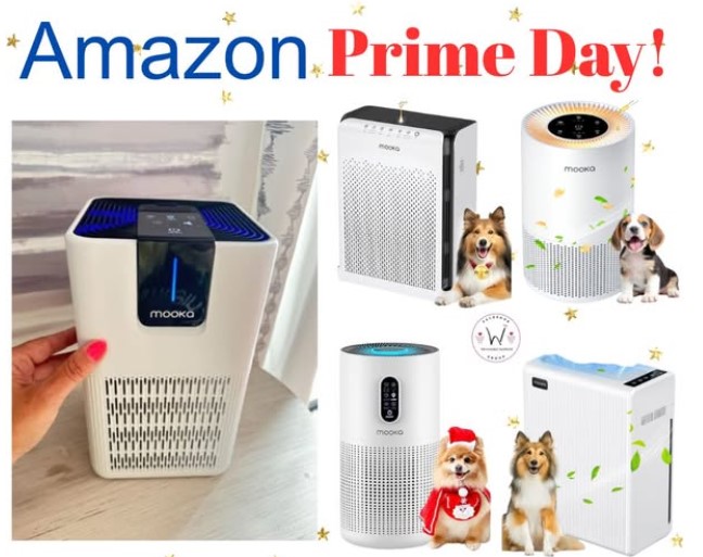 MOOKA Air Purifiers!
