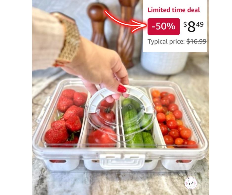 Snackle box container with divided trays!