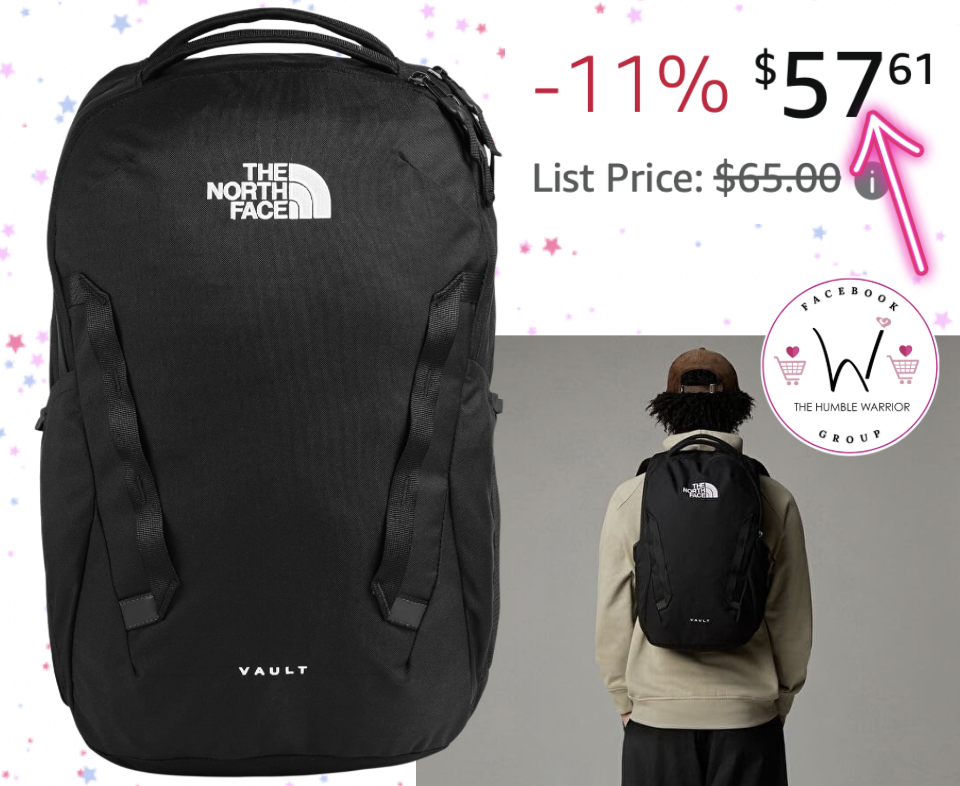 The North Face Vault Everyday Laptop Backpack!