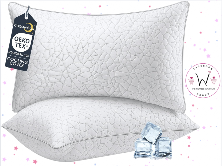 Cozisnoor 2-Pack of Queen Pillows!