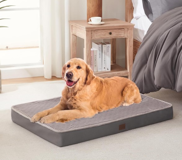 Orthopedic Dog Bed!