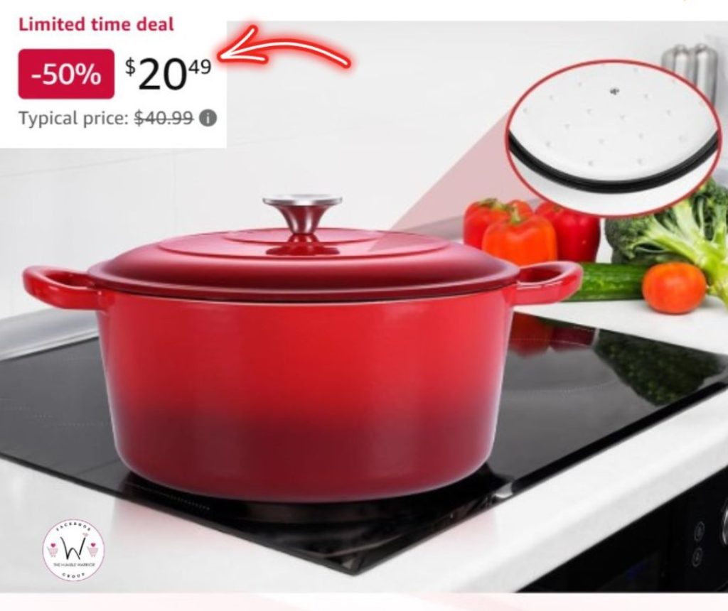 HaSteeL Enameled 5 Quart Cast-Iron Dutch Oven!