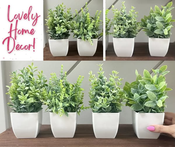 Der Rose faux succulents