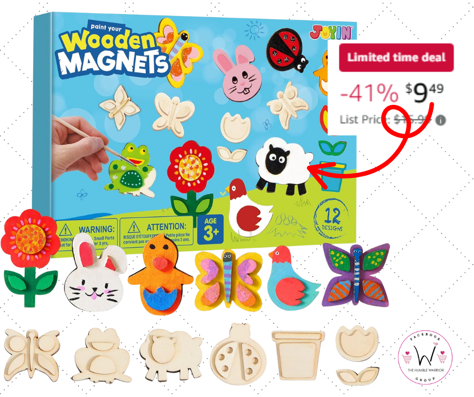 JOYIN Wooden Magnet Painting Kit!