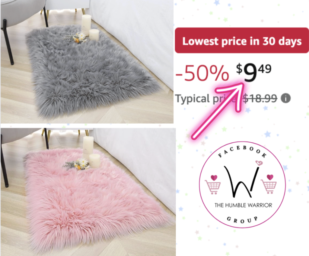 Noahas Faux Fur Rug, a 2 x 3 ft washable shag rug