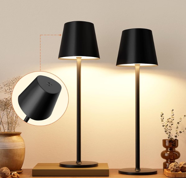 Set of 2 Cordless Table Lamps!