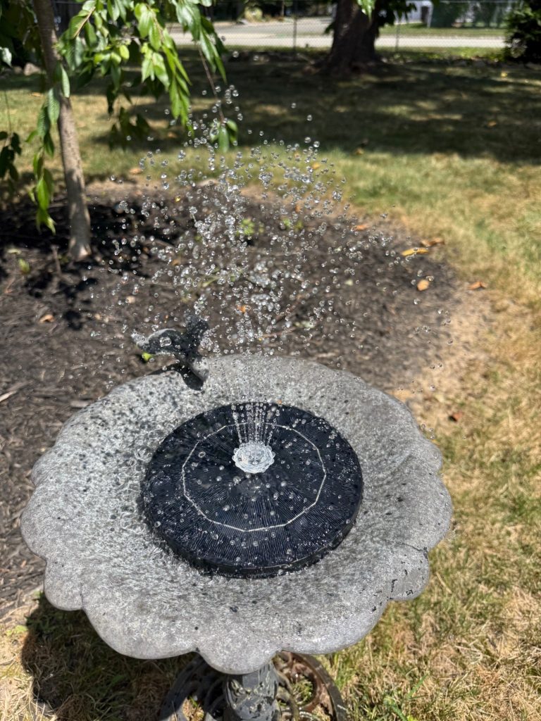 Solar Bird Bath