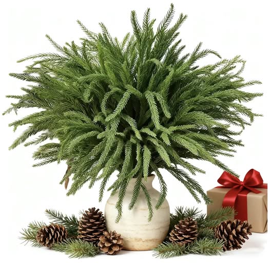 set of 16 Norfolk pine stems