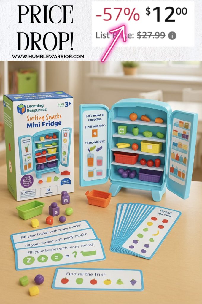 Learning Resources Sorting Snacks Mini Fridge