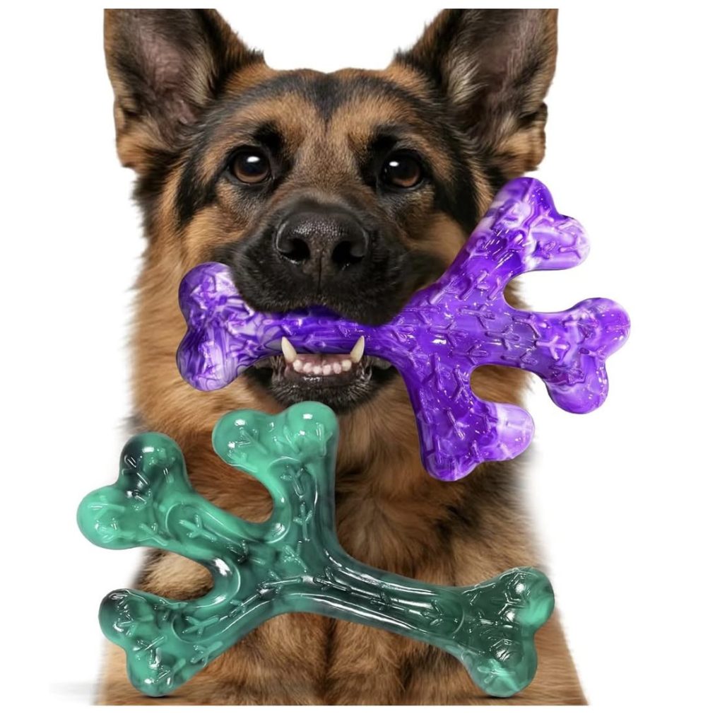 aggressive chewer toys