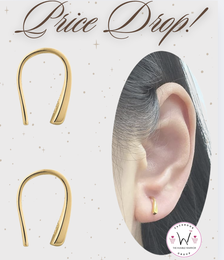 The Tiny Pull-Through Teardrop Earrings