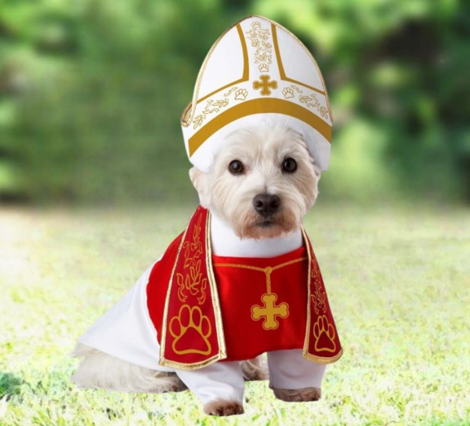 Halloween Pet Dog Costume!