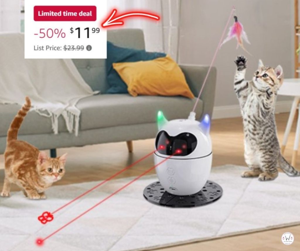 Automatic 2 in 1 Interactive Cat Toy!