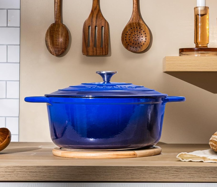 Enameled 6.4 Quart Cast-Iron Dutch Oven!
