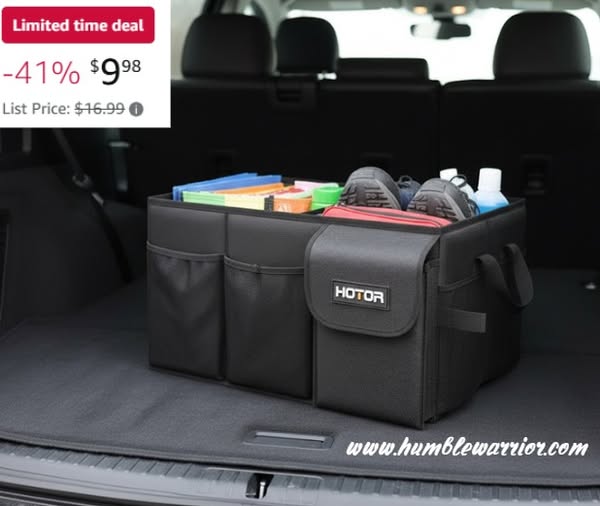 HOTOR car trunk organizer