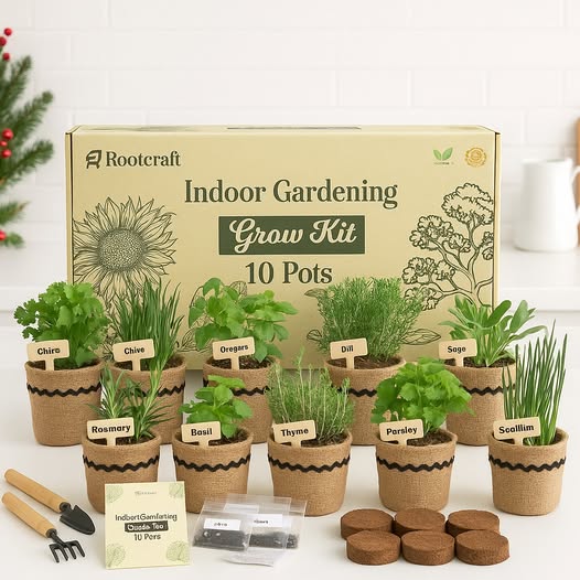 Herb Garden Kit