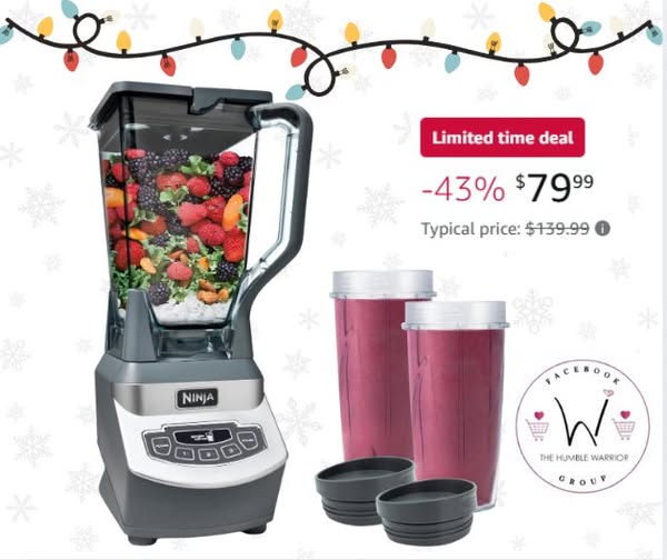 Ninja Professional Blender & Nutri Ninja Cups