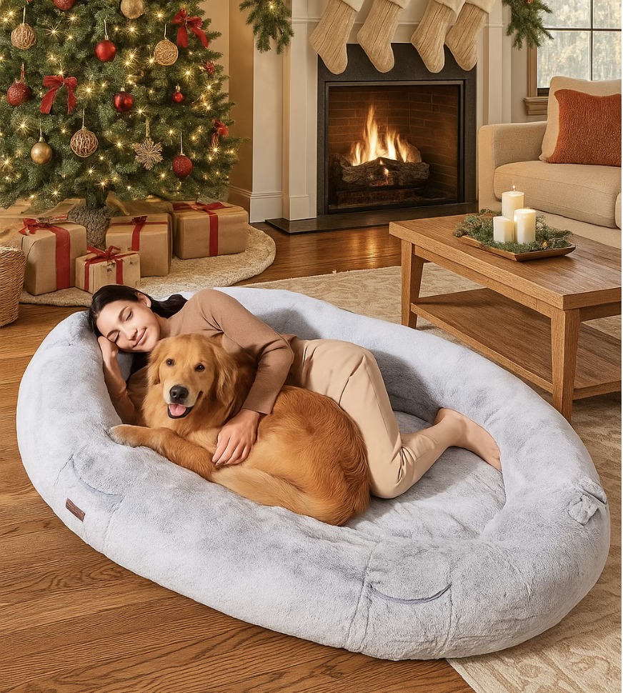 Our favorite bed is back!