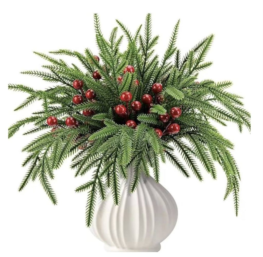 Norfolk pine vase fillers