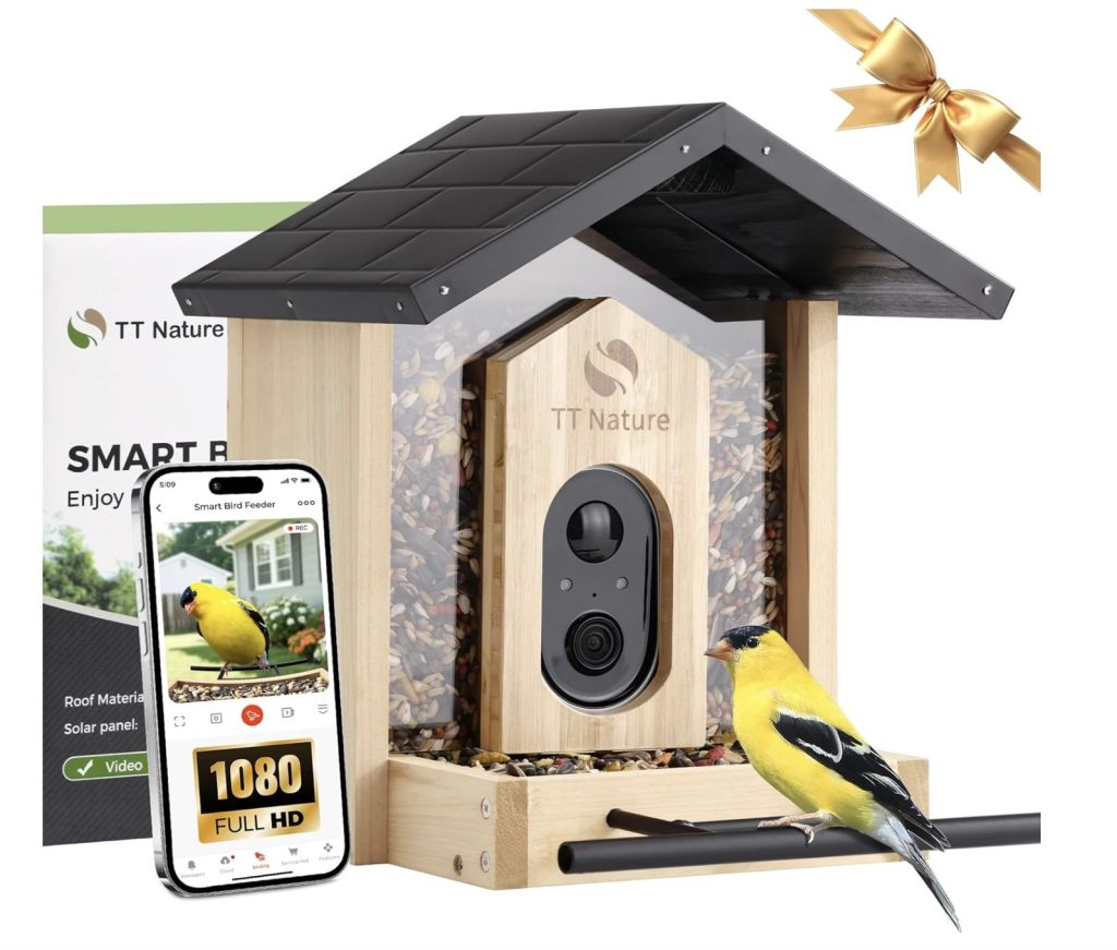AI bird identifier feeders