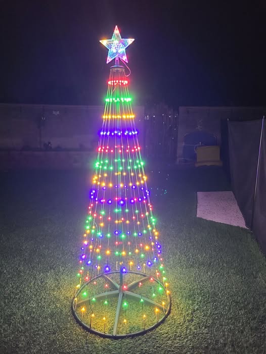 outdoor tree