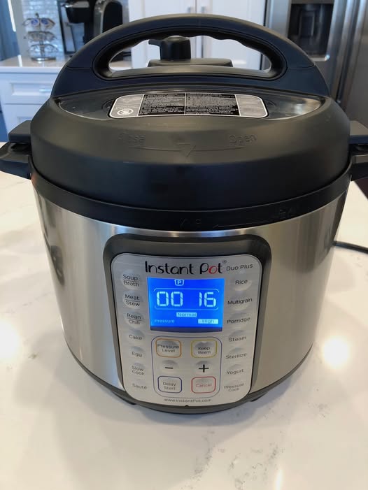 Instant Pot Duo 9-in-1 Electric Pressure Cooker