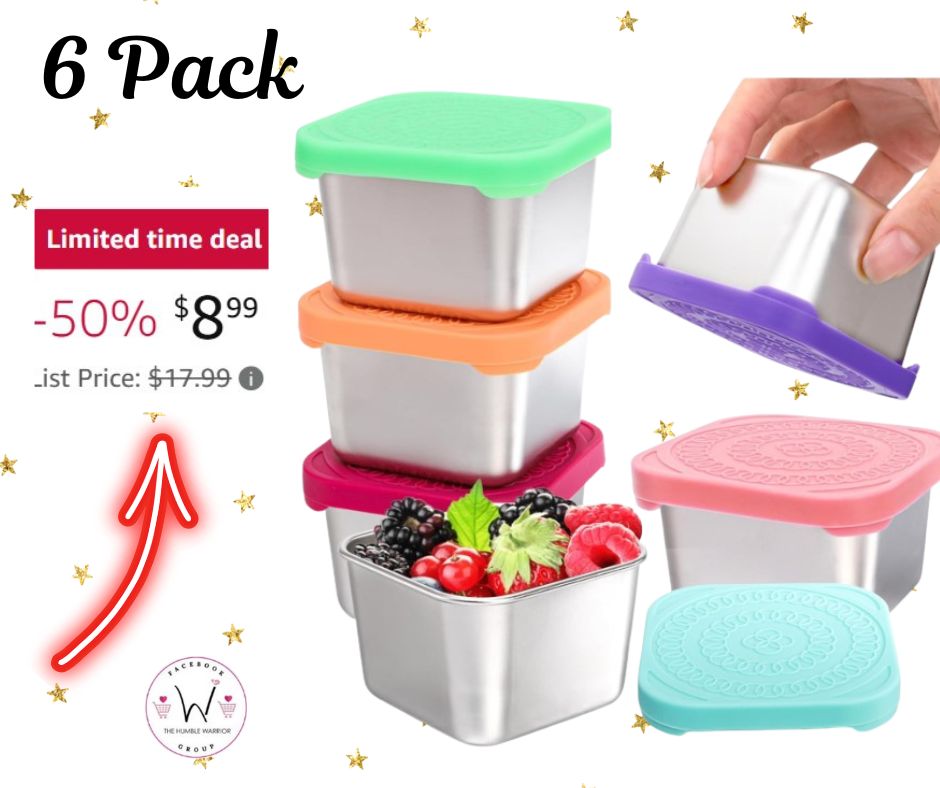 Stainless steel snack containers with lids!