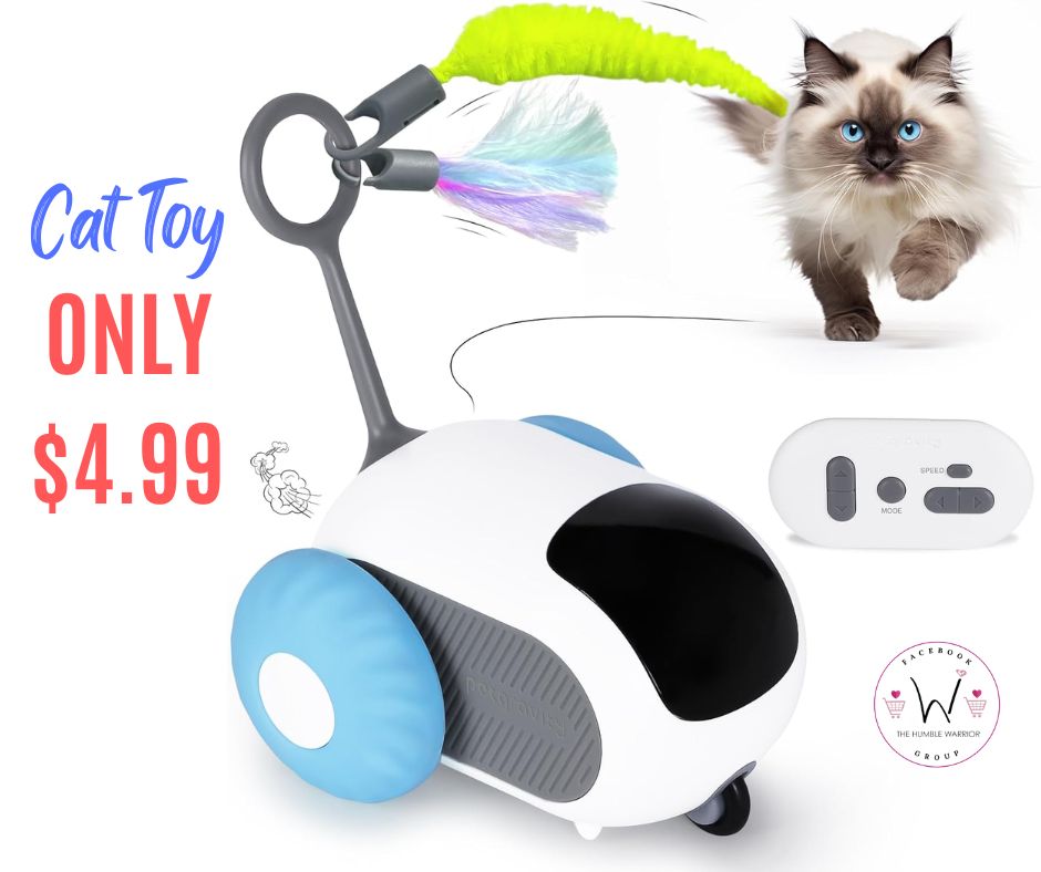 Cat Toy