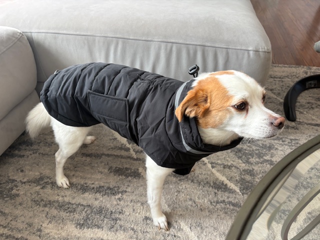 Winter Pup Essential: Waterproof Fleece-Lined Dog Coat
