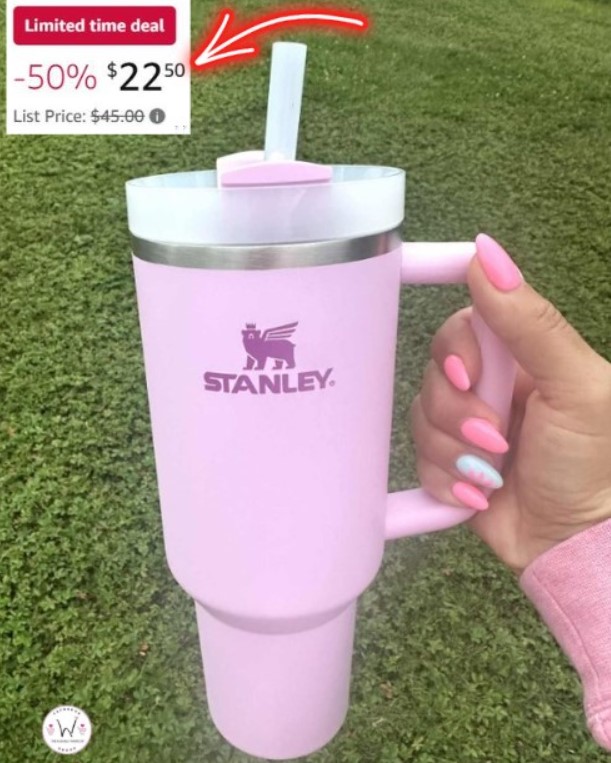 STANLEY Quencher H2.0 Tumbler with Straw!