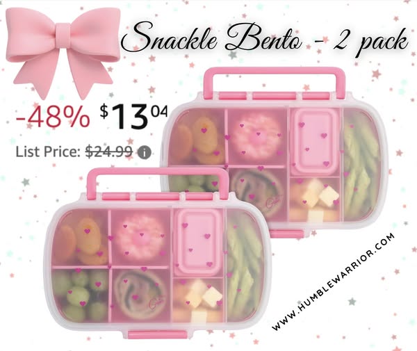 Paris Hilton bento style snackle boxes