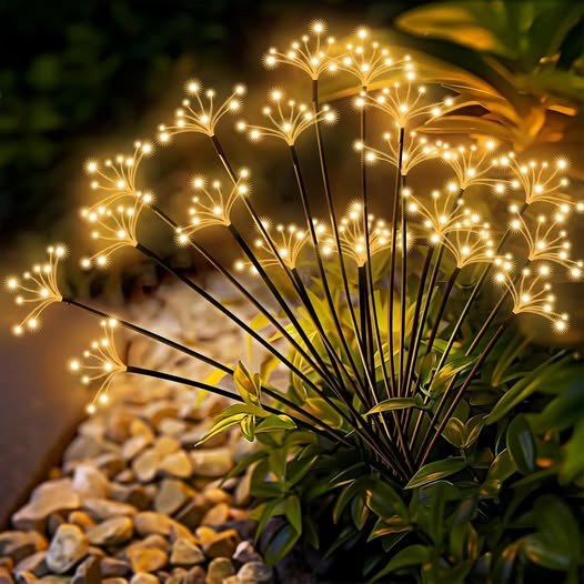 solar lights