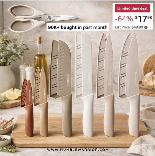 Astercook Knife Set
