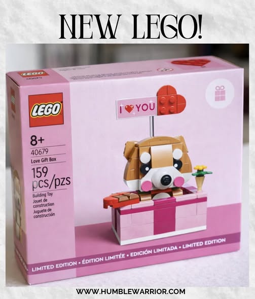 NEW Lego for Love Day!