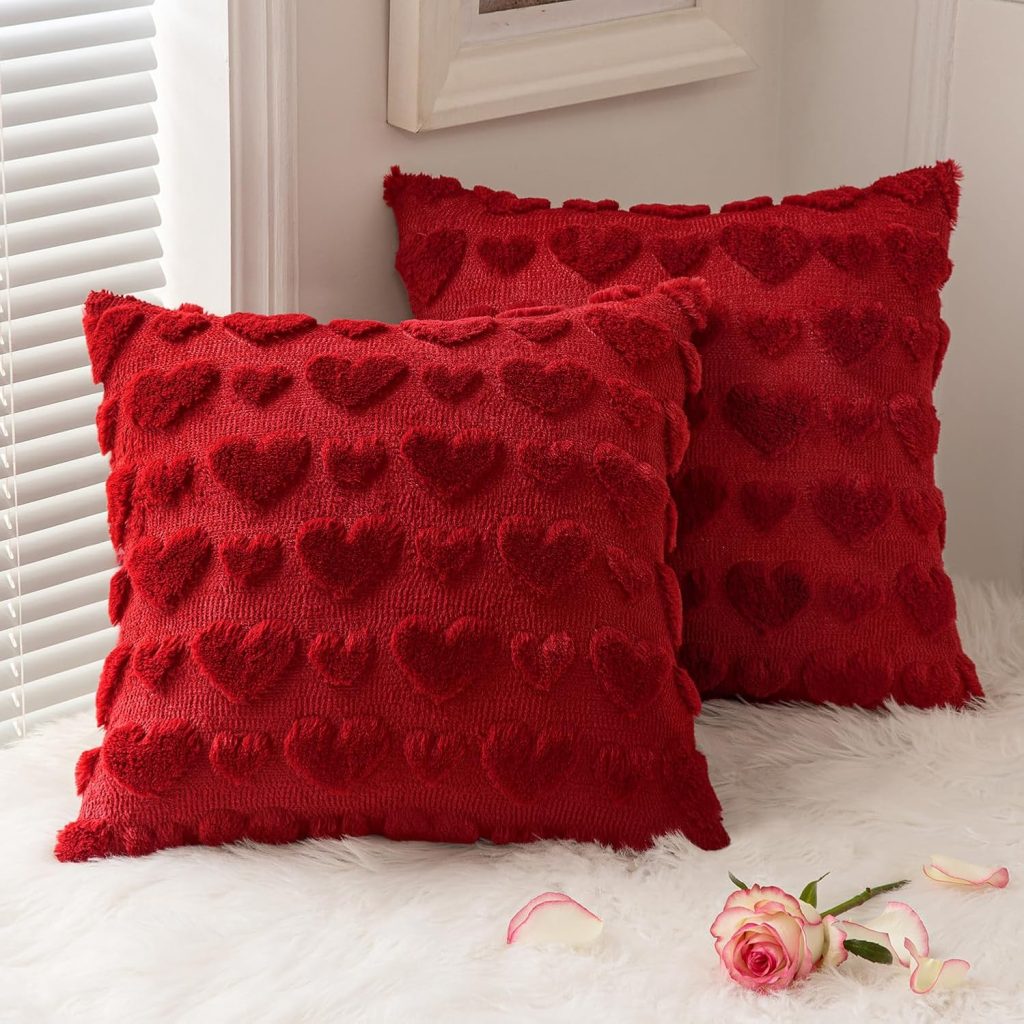 Love Day pillow covers!